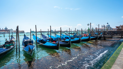 Gondolas on the Grand Canal pier in Venice from the side of the Doges palace. San Giorgio Maggiore Island background. Gondolas jetty. The row of  beautiful  Venetian gondolas mooring on berth Panorama