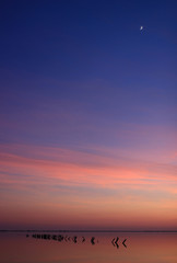 Fototapeta premium Croissant de lune et crépuscule du 31 décembre sur les étangs des Salines de Villeneuve-lès-Maguelone (Hérault - France)