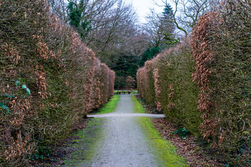 park winter labyrinth garden hedge