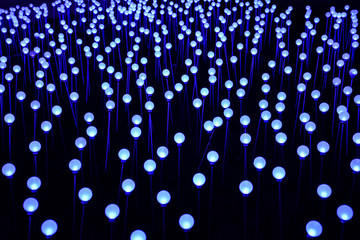 field of lanterns in the park Zaryadye, background of blue lanterns, field of neon lanterns