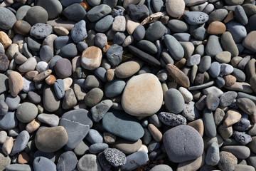 Sea stones background. Gray, white stones on the beach