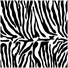 Fototapeta na wymiar Zebra print, animal skin, line background, fabric. Black and white artwork, monochrome. Wallpaper with black stripes on white background. Zebra stripes hunting camouflage. Vector illustration.