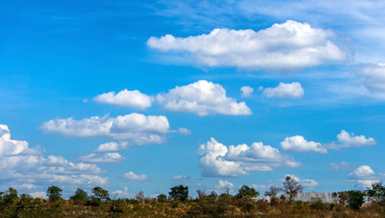 landscape and perfect sky with many cumulus cloud