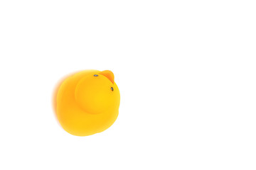 toy rubber yellow duck on a white background