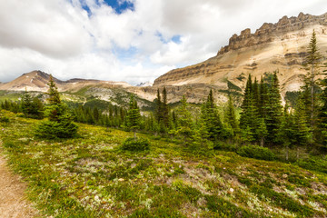 View of Dolomit Peak from the hiking trail to Helen Lake in Banff National Park, Alberta, Canada 