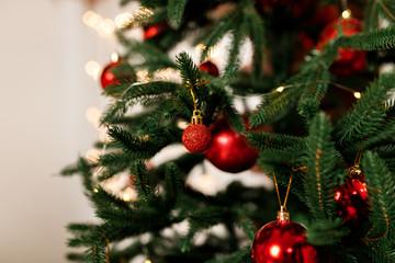 Beautiful Red Christmas Balls Hanged On The Christmas Tree Branch
