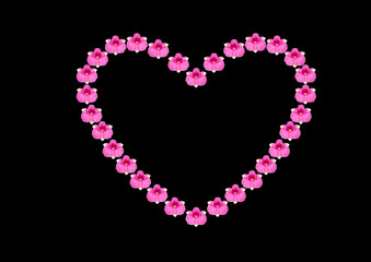 Heart pattern orchid flower isolated on a black background.