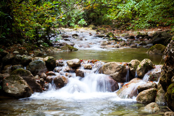 Stream of cold mountain river going down surrounded by green grass and rocks on shore