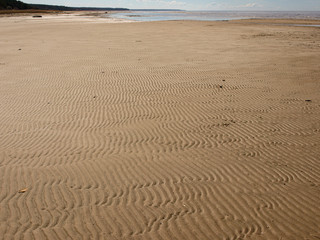 beautiful sand texture of wind, water and sand