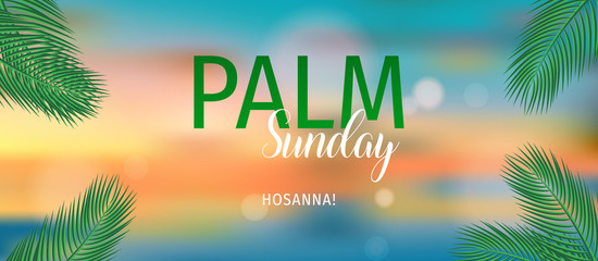 Palm Sunday (HOSSANA!) Holiday Greeting Card. Christian Palm Sunday Vector Illustration.