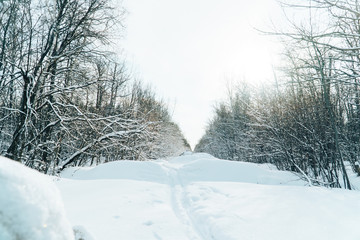 Fototapeta na wymiar ski track in a beautiful fairytale winter forest