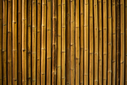 Bamboo Sticks Images – Browse 73,460 Stock Photos, Vectors, and Video