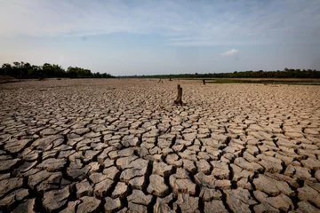 Fotobehang Natural drought, brown, brown or drought soil with grounding © ณรงค์พล ไชยบุตร