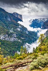 Landscape of Yosemite National Park in California