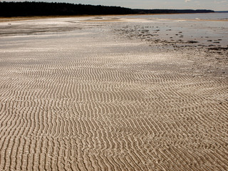 beautiful sand texture of wind, water and sand