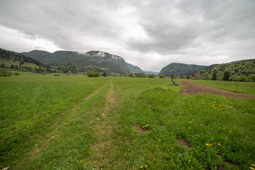 Alpine lawn near Bohinj lake, Slovenia