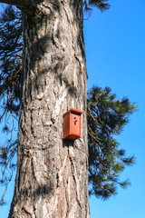 Birdhouse on a tree