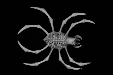 Plastic spider Logo