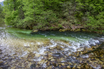 Naklejka na ściany i meble Beautiful landscape. Bohinj lake, Slovenia