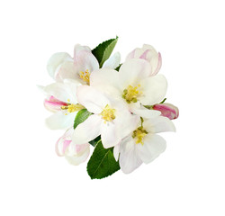 Floral arrangement with apple flowers