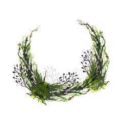 Watercolor painted floral wreath on white background. Arrangement with black branches and forest green moss.