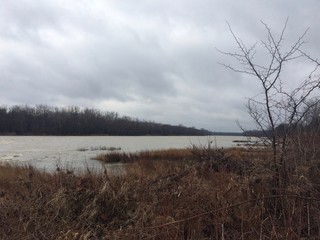 misty morning on the river