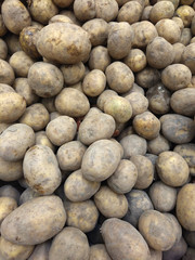 potatoes with small traces of soil from Egypt at the supermarket counter awaiting buyers