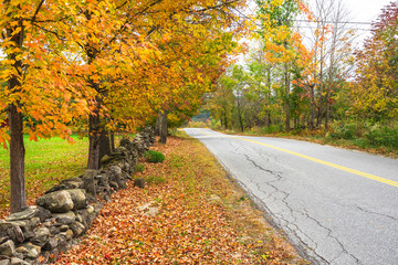 Fototapeta na wymiar Deserted road lined with colourful trees at the peak of autumn foliage in the countryside on Vermont on a cloudy day