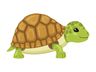 Cheerful turtle cartoon character on white background