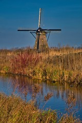 Obraz premium Dutch windmills