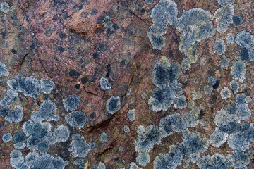 texture of old wall