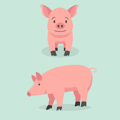 Cute cartoon pig set vector illustration.Piggy front and side view character design