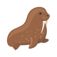 Cute walrus cartoon character on white background