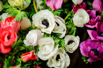Beautiful bouquet of red, purple and white poppy with green leaves