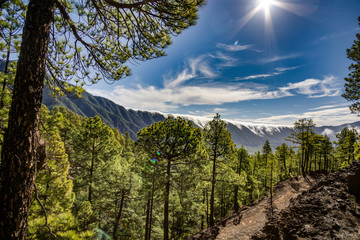 La Palma Passatwolken