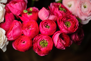 Beautiful spring bouquet of pink peony roses on the dark background
