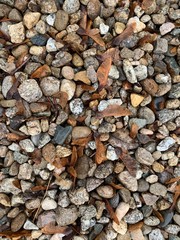 rain on rocks