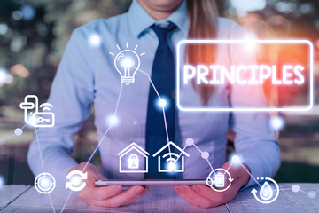 Writing note showing Principles. Business concept for fundamental truth that serves as the base for...