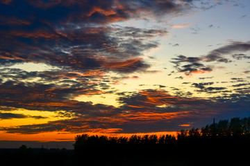 Obraz premium Magnificent fiery sunset over the silhouette of the Dark line of the Forest. Faith, hope, love, joy, victory, luck, strength, success
