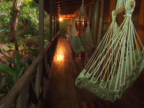 Hanging chair in a jungle treehouse