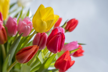 Bunter Tulpenstrauß