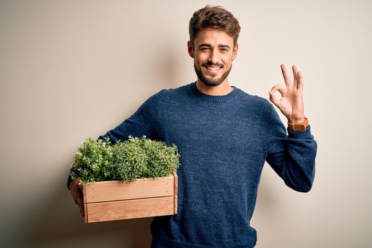 Young Gardener Man With Beard Holding Box With Plants Standing Over White Background Doing Ok Sign With Fingers, Excellent Symbol