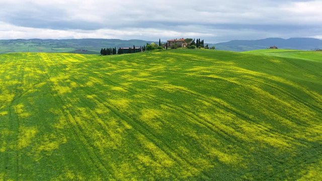 Italy, Tuscany, Val d'Orcia, Siena Province, Colourful fields near Asciano