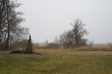 L&auml;ndliche Graslandschaft mit B&auml;umen in Potsdam-Mittelmark