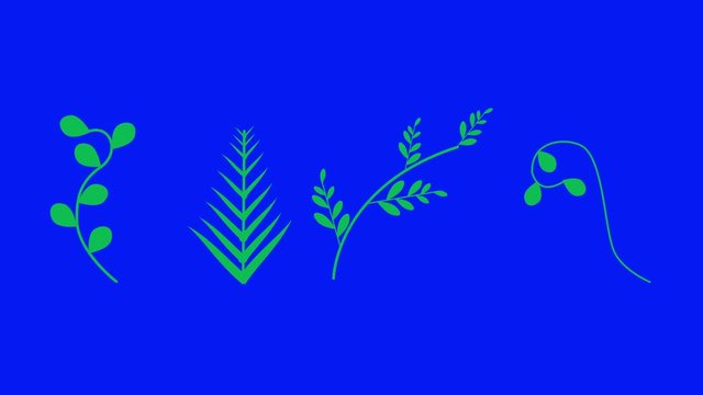 leaves animation set on blue screen chroma key for floral decorations clips