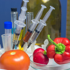 Pepper, tomato and radish, test tubes and syringes next to it. Food laboratory. Close up on a white...