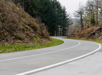 Twisting road in the forest