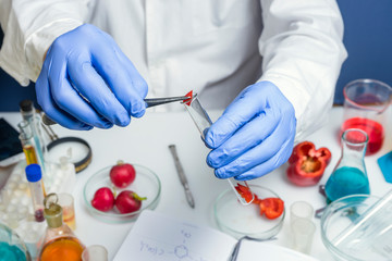 Food safety expert checking red pepper in the laboratory. Close up.