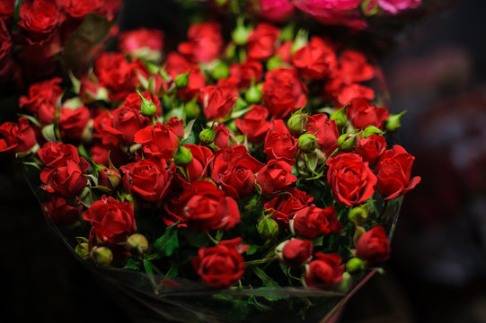 Beautiful bouquet of red roses with closed green buds in the transparent wrapping paper