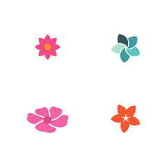 Set Beauty icon flowers design illustration